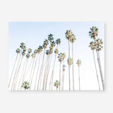 Santa Barbara Vibes Art Print