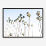 Santa Barbara Vibes Art Print