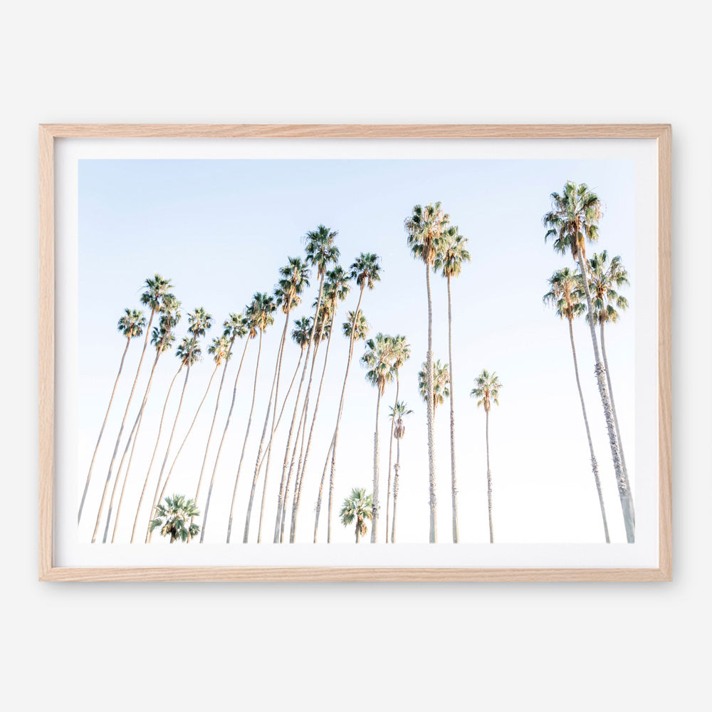 Santa Barbara Vibes Art Print