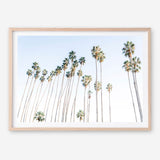 Santa Barbara Vibes Art Print