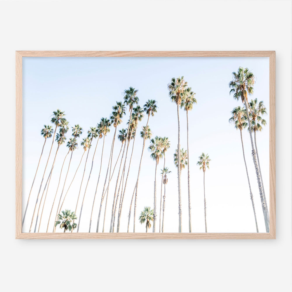 Santa Barbara Vibes Art Print