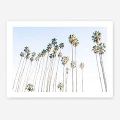 Santa Barbara Vibes Art Print