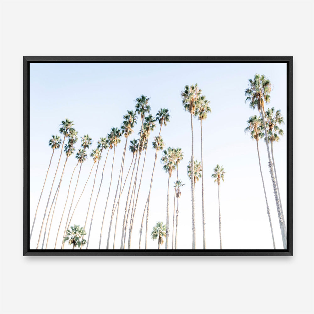 Santa Barbara Vibes Canvas Print