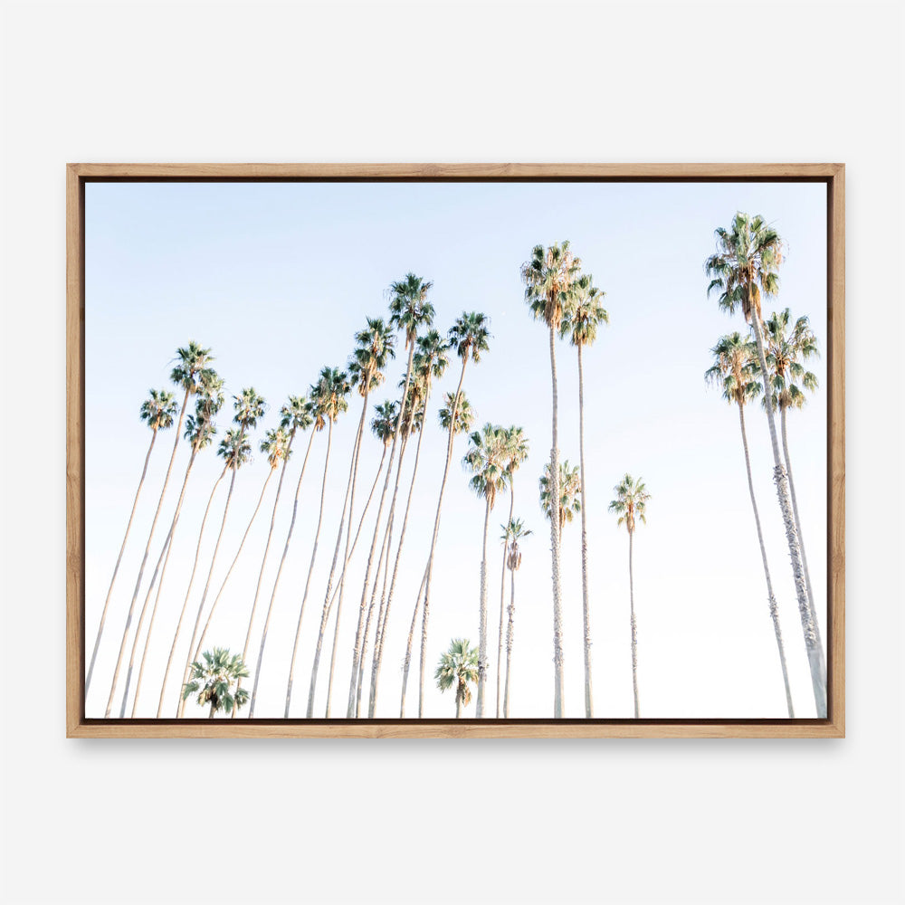 Santa Barbara Vibes Canvas Print