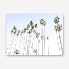 Santa Barbara Vibes Canvas Print