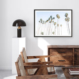 Santa Barbara Vibes Art Print