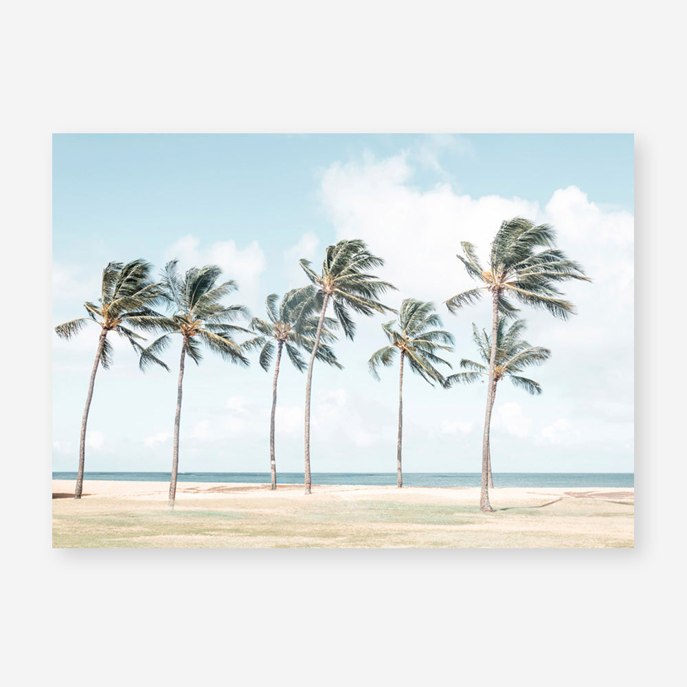 Hawaiian Palm Trees Art Print