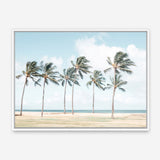 Hawaiian Palm Trees Canvas Print