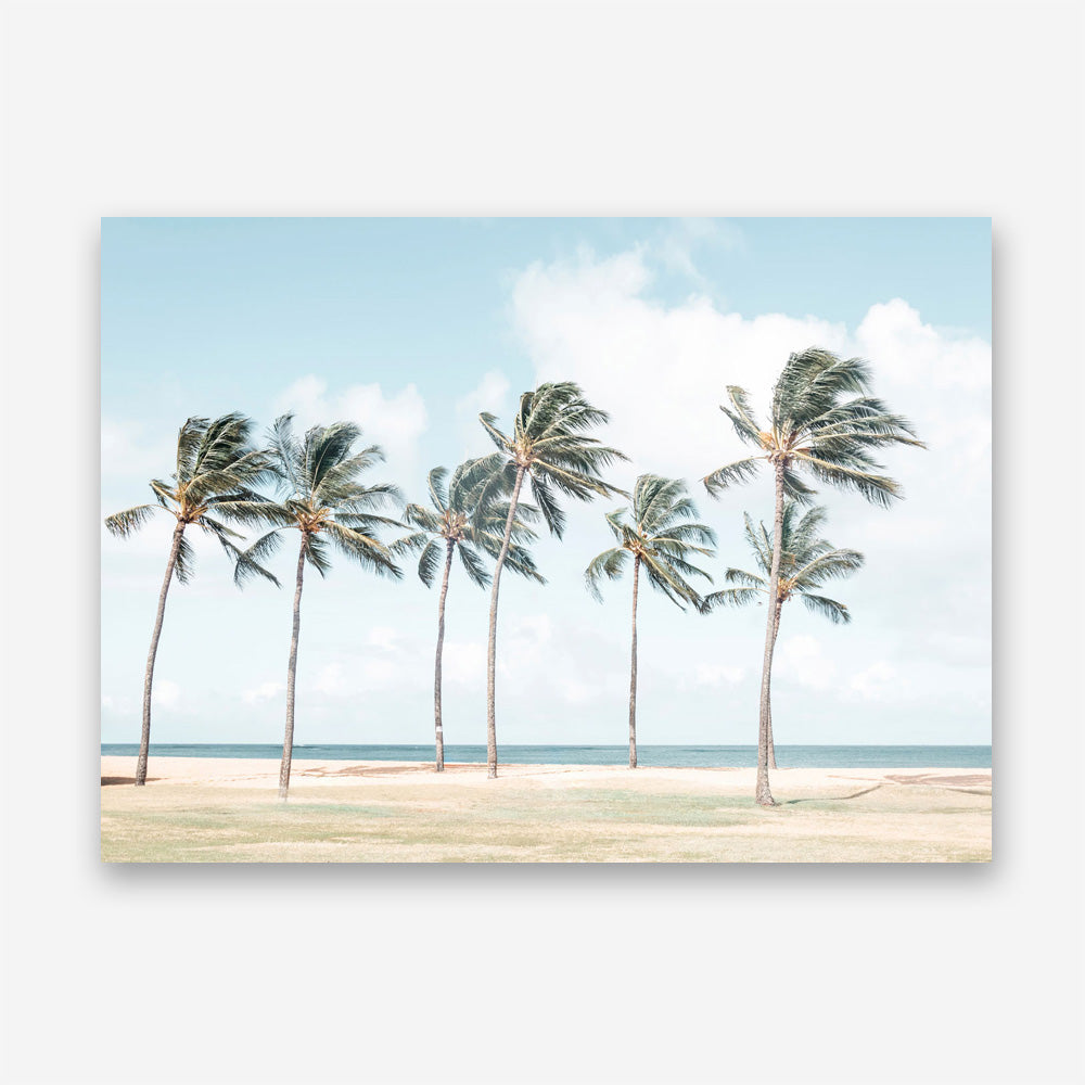 Hawaiian Palm Trees Canvas Print