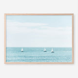 Three Sailboats Art Print