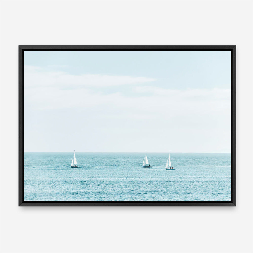 Three Sailboats Canvas Print
