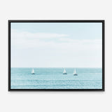Three Sailboats Canvas Print