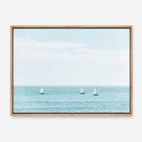 Three Sailboats Canvas Print
