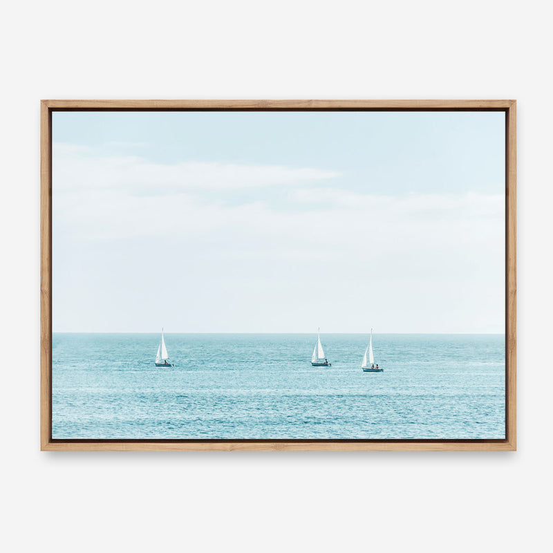 Three Sailboats Canvas Print