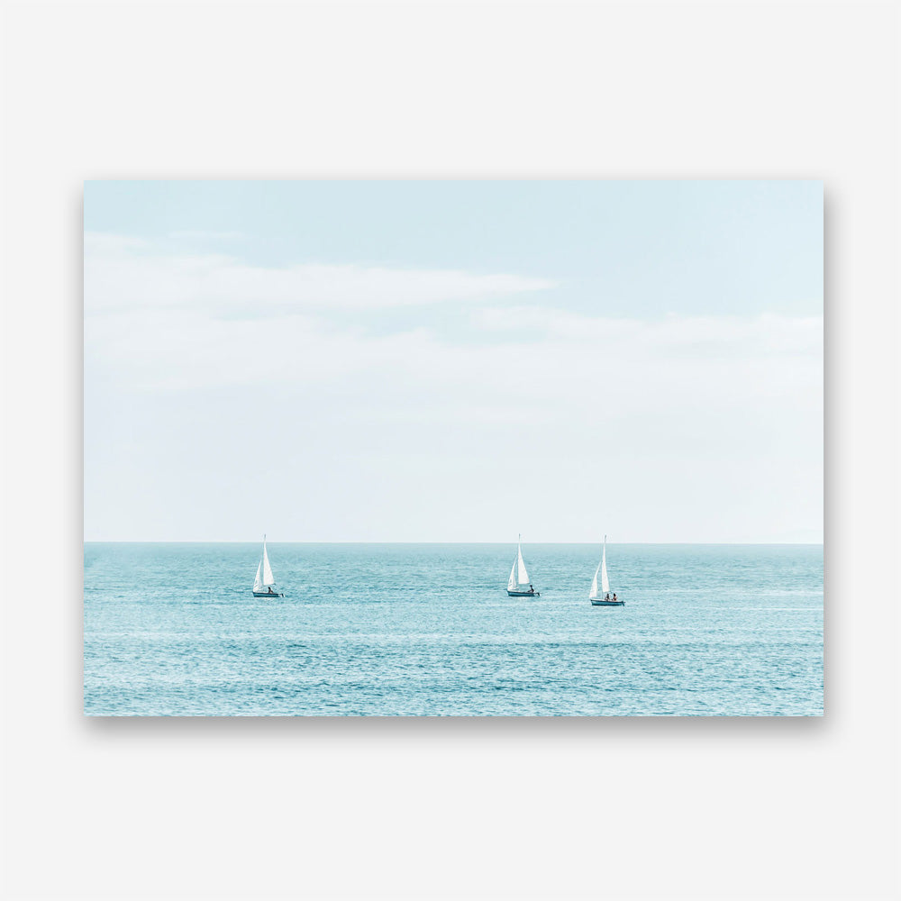 Three Sailboats Canvas Print