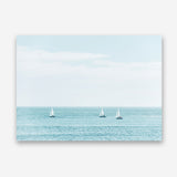 Three Sailboats Canvas Print