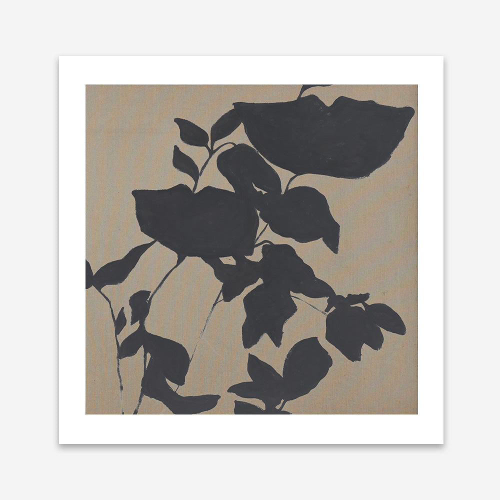 Fortuna Black (Square) Art Print