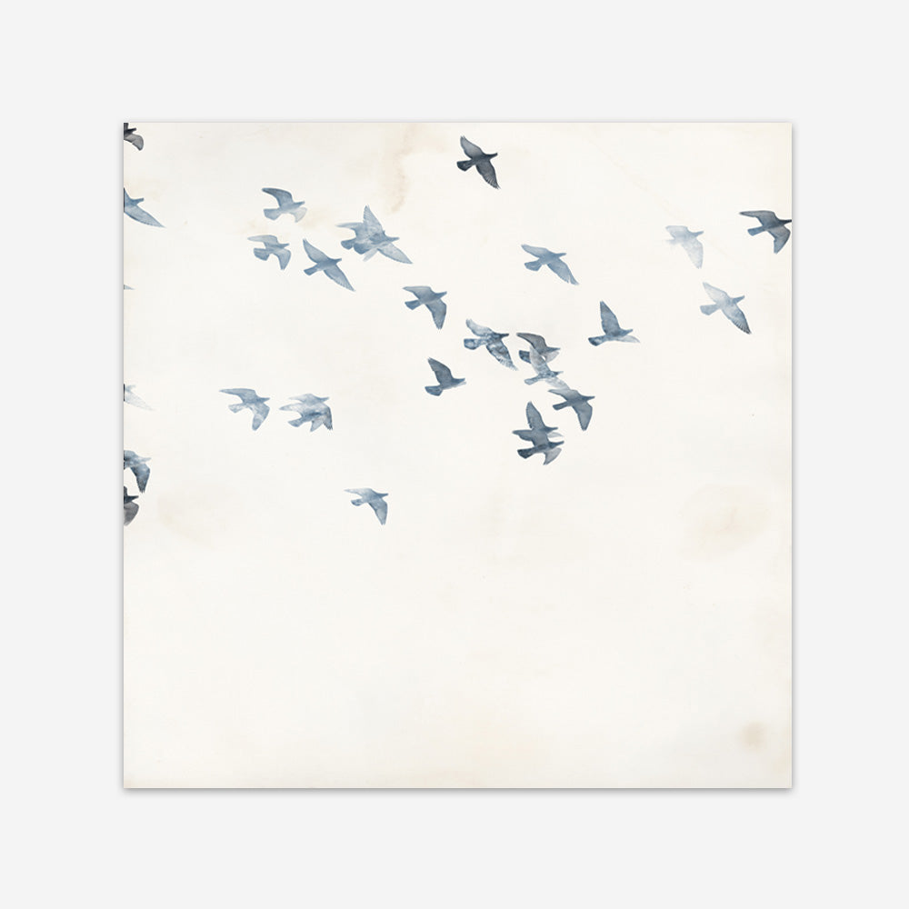 Pigeons Sky (Square) Art Print