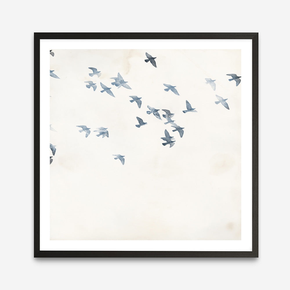 Pigeons Sky (Square) Art Print