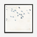 Pigeons Sky (Square) Art Print