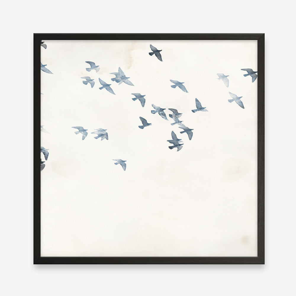 Pigeons Sky (Square) Art Print