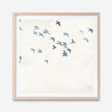 Pigeons Sky (Square) Art Print
