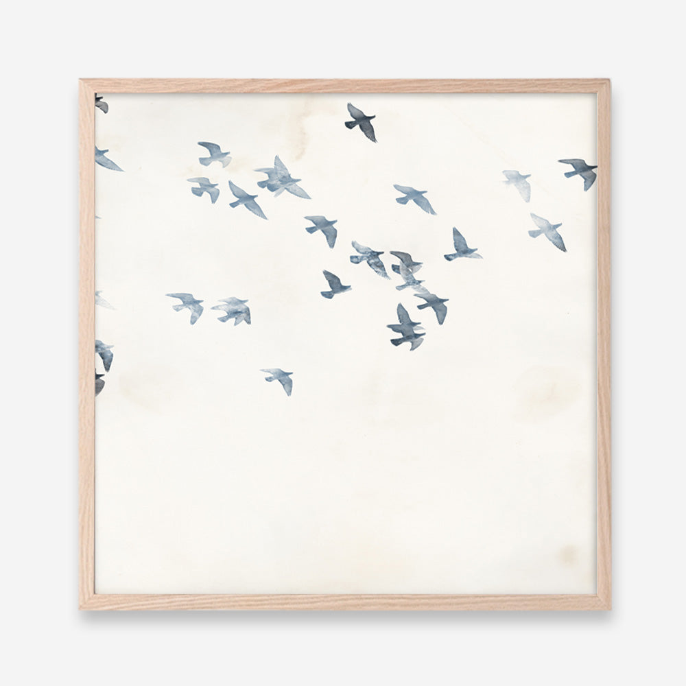 Pigeons Sky (Square) Art Print