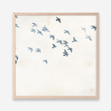 Pigeons Sky (Square) Art Print