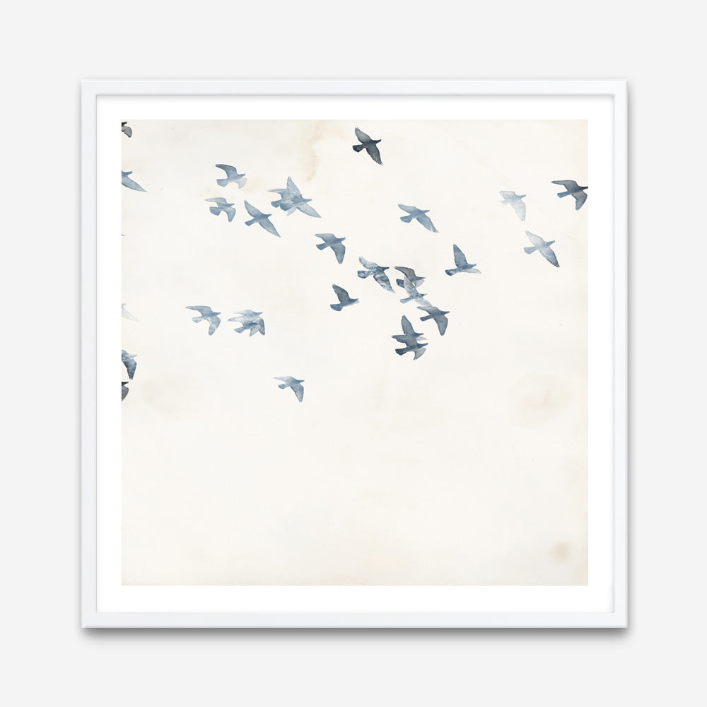 Pigeons Sky (Square) Art Print