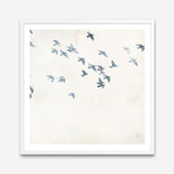 Pigeons Sky (Square) Art Print