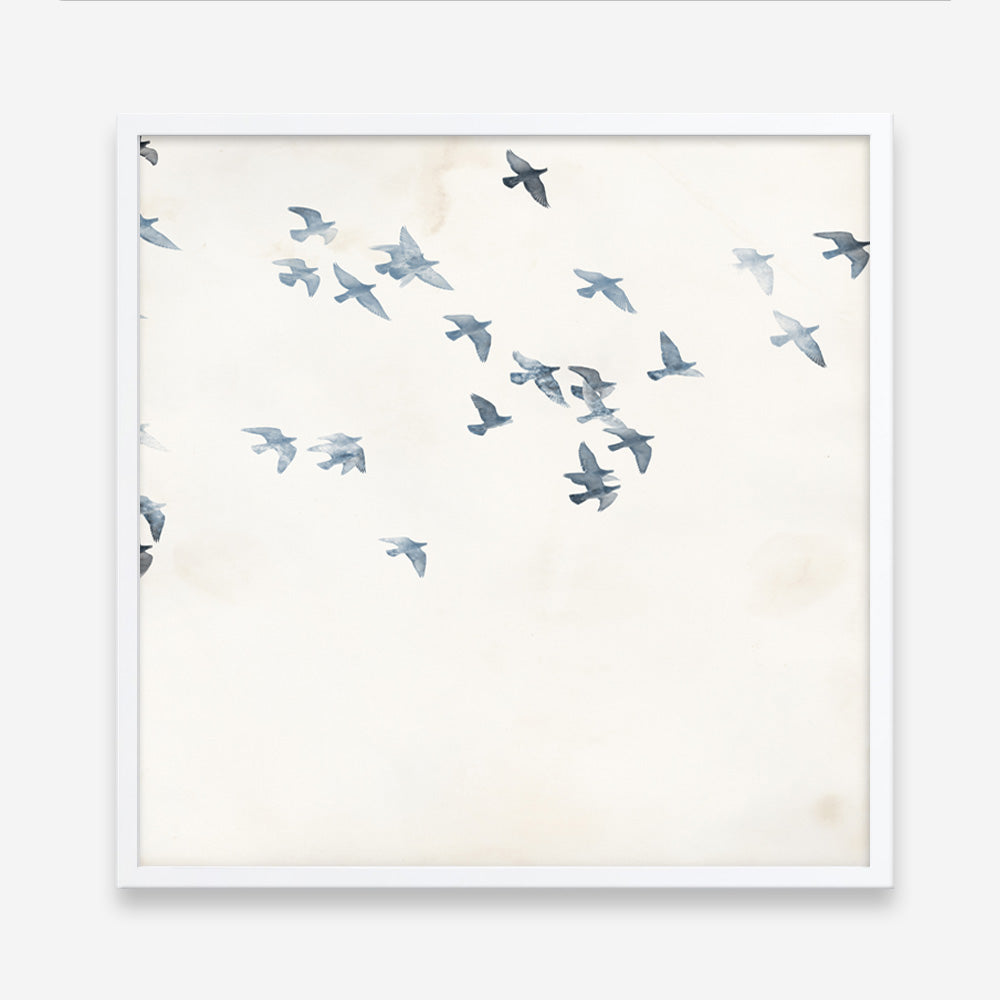 Pigeons Sky (Square) Art Print