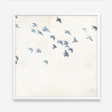 Pigeons Sky (Square) Art Print