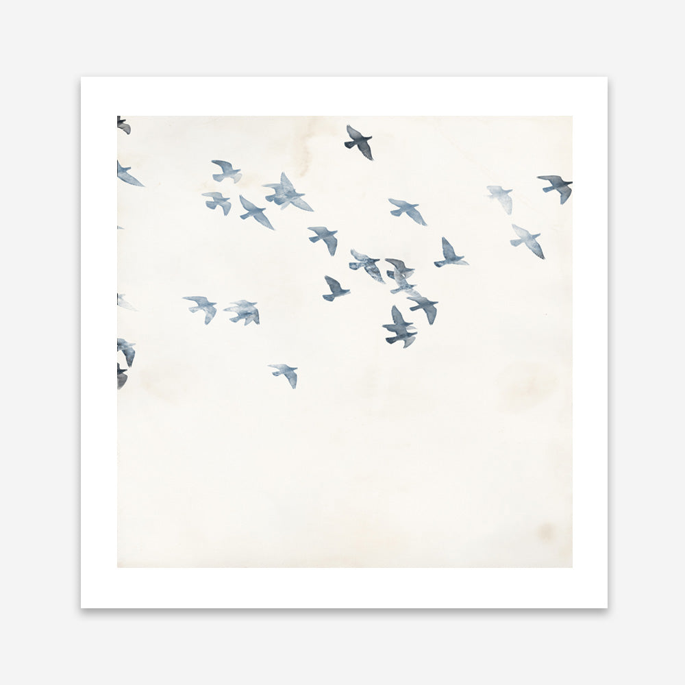 Pigeons Sky (Square) Art Print
