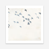 Pigeons Sky (Square) Art Print