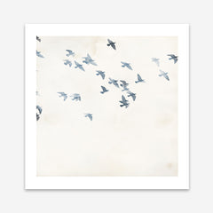 Pigeons Sky (Square) Art Print