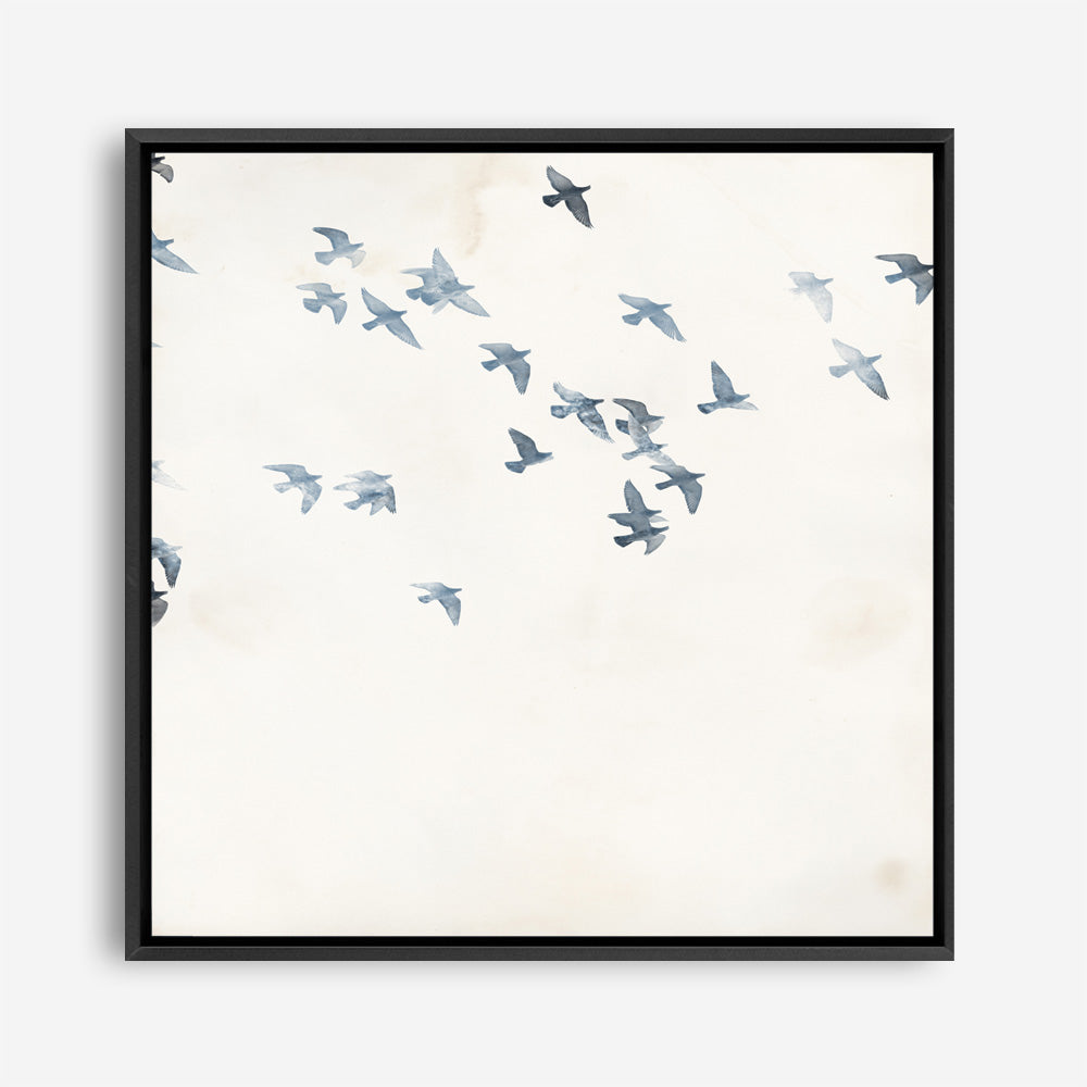 Pigeons Sky (Square) Canvas Print