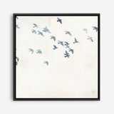 Pigeons Sky (Square) Canvas Print
