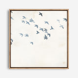 Pigeons Sky (Square) Canvas Print
