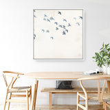 Pigeons Sky (Square) Canvas Print