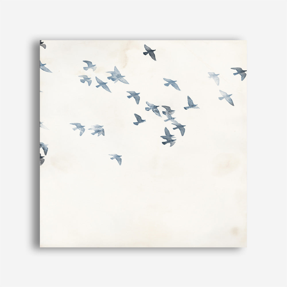 Pigeons Sky (Square) Canvas Print