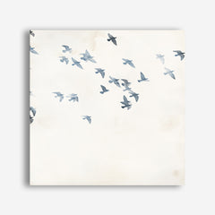 Pigeons Sky (Square) Canvas Print