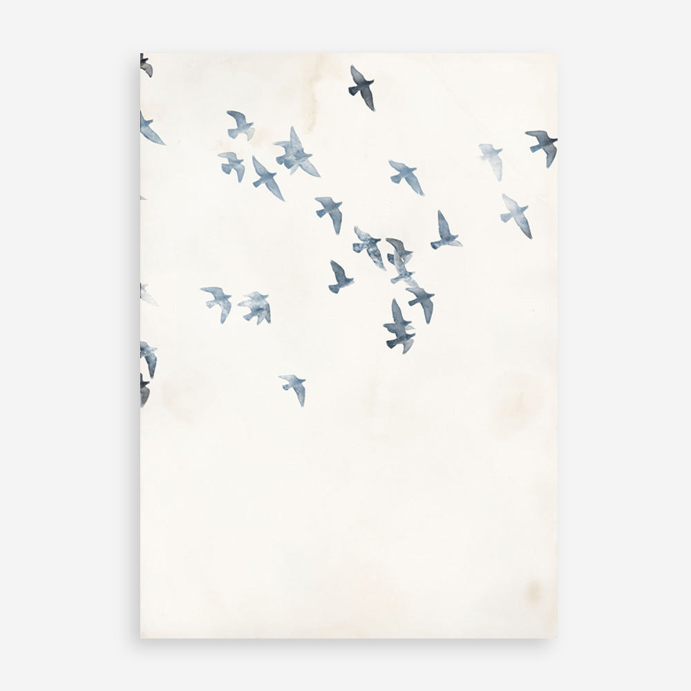 Pigeons Sky Art Print