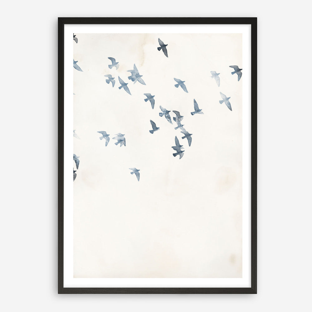 Pigeons Sky Art Print