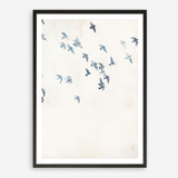 Pigeons Sky Art Print