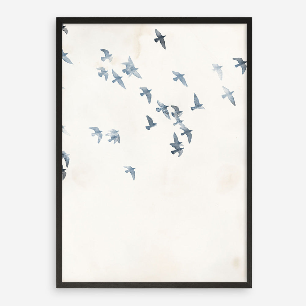 Pigeons Sky Art Print