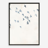Pigeons Sky Art Print