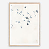 Pigeons Sky Art Print