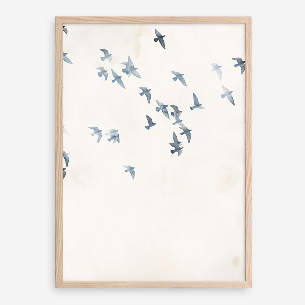 Pigeons Sky Art Print