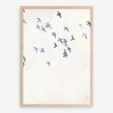 Pigeons Sky Art Print