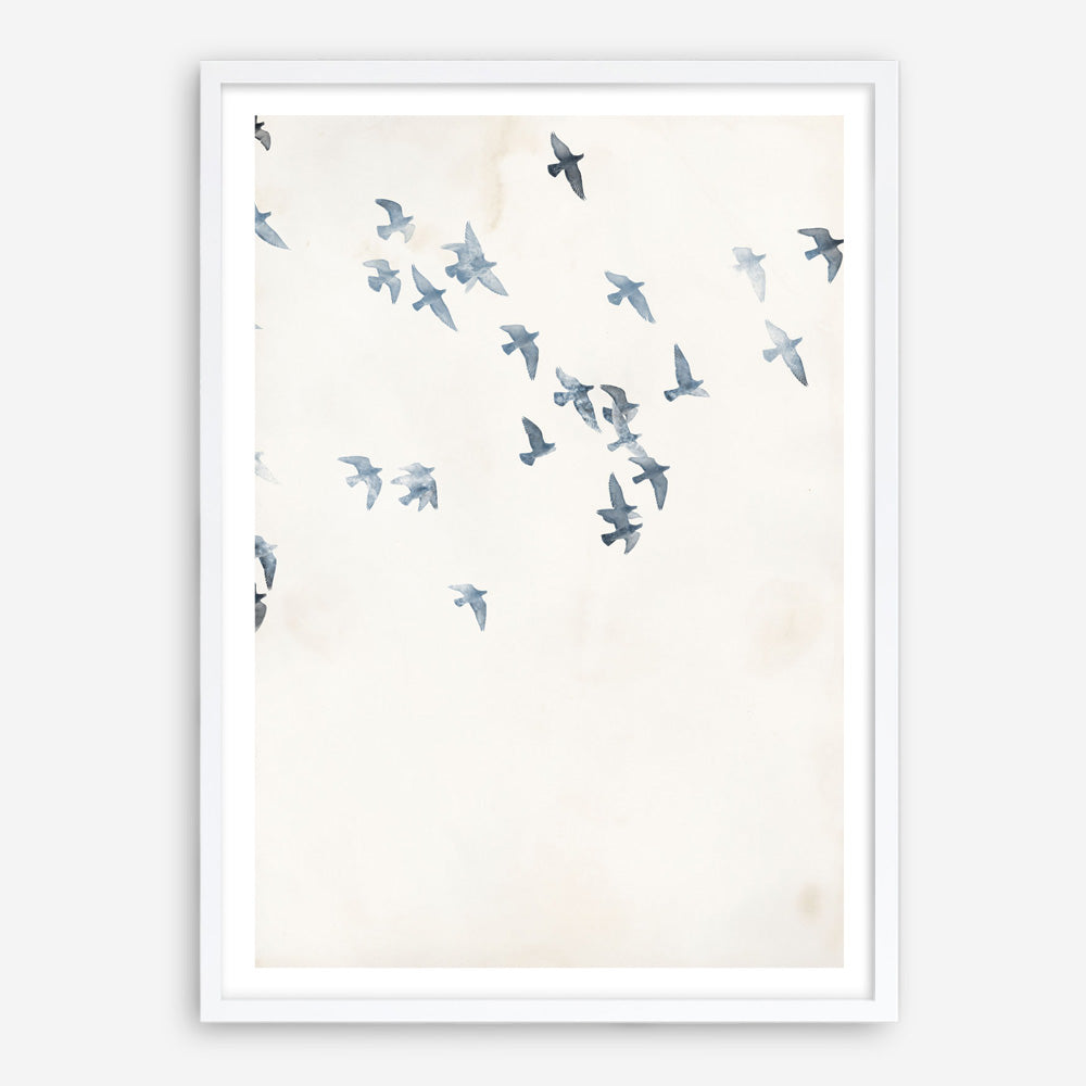 Pigeons Sky Art Print